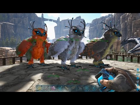 Taming Snow Owls - Ark Survival Evolved, Xbox One [E59]