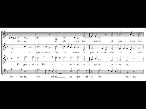 Byrd: Surge illuminare Jerusalem - Cardinall's Musick