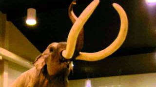 stella by starlight - massimo salvagnini