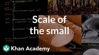 Scale of the Small