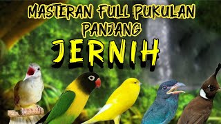 Download lagu MASTERAN MURAI BATU ROLL TEMBAKAN MUDAH MASUK MURAI COCOK UNTUK BURUNG FIGHTER SUARA JERNIH POL mp3