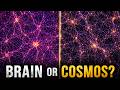 Your Brain Looks Like The Universe Is The Cosmos A Mind Bedtime Science Stories
