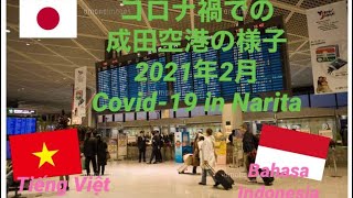 成田空港到着後の流れ@2021.2 After arriving at Narita airport/ Tiba di Bandara Narita/ Đến sân bay Narita