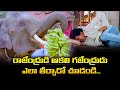 రాజేంద్రుడి ఆకలి తీర్చిన గజేంద్రుడు 