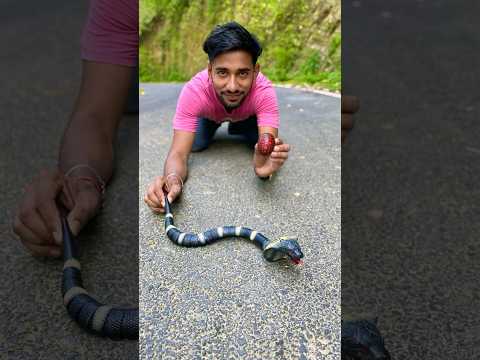 RC Cobra Snake 🐍 Unboxing