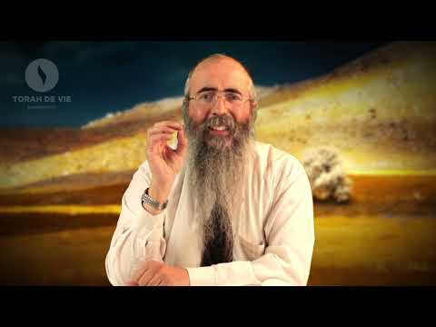 LE DAAT : Connaissance de soi