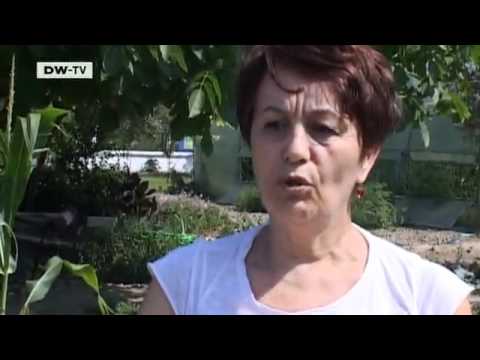 Family crisis | Video of the day