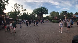 🔴 LIVE:  Disney’s Animal Kingdom! 🌳🍃🌙 || Expedition Everest, Tree Awakening & Rivers Of Light
