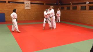 David viser O-Goshi i Dojoen
