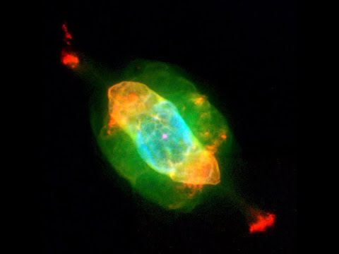 DARK NEBULA - NGC 7009 (Official Audio)