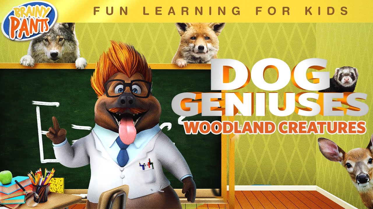 Dog Geniuses: Woodland Creatures - Trailer | Jo Davis, KJ Schrock, Simon Hill, Charles Nu