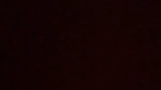 サイホーン ポケットモンスター キュワワー タンドン ボーマンダ