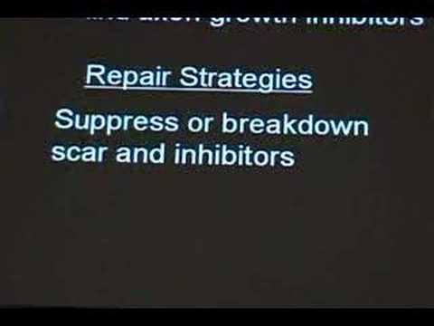 Dr. Stephen Davies @ Working 2 Walk - Part 2