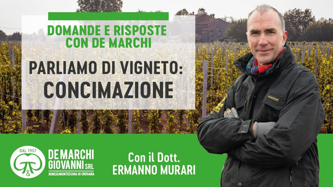 Watch Now PARLIAMO DI VIGNETO CONCIMAZIONE PARLIAMO DI VIGNETO CONCIMAZIONE