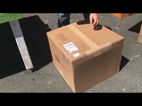 Lyson Bee Hive Unboxing