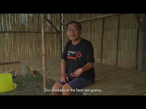 World Animal Protection - Investing in Others