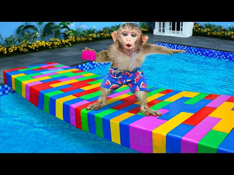 KiKi Monkey experience Building Block Lego Bridge across the Swimming Pool | KUDO ANIMAL KIKI