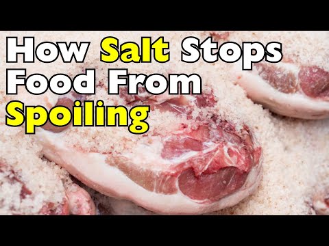 How Does Salt Preserve Food? [ID0913]