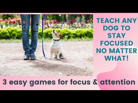 3 Easy Engagement Games for Building Focus & Attention