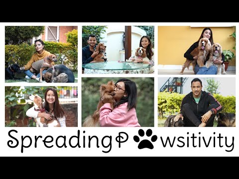 KUKUR TIHAR SPECIAL | SPREADING PAWSITIVITY- PARAS |SUBANI| ASHLESHA | NITI | SHREYA |RADHA| SRIJANA