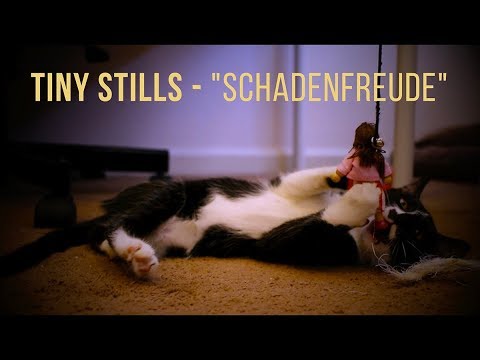 Tiny Stills - "Schadenfreude" [Official Music Video]