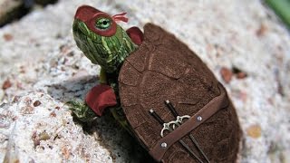 TMNT Theme - Best Cry Ever Dude (Mashup)