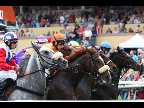 Magdeburg: Jubiläumspreis der WOBAU Magdeburg (Listenrennen) - Sieger: Quelindo