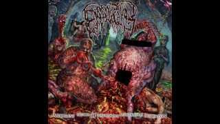 Epicardiectomy - Defleshed And Wormed