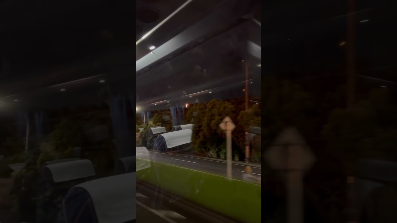 2025年のいつかの帰り道の花火🎆