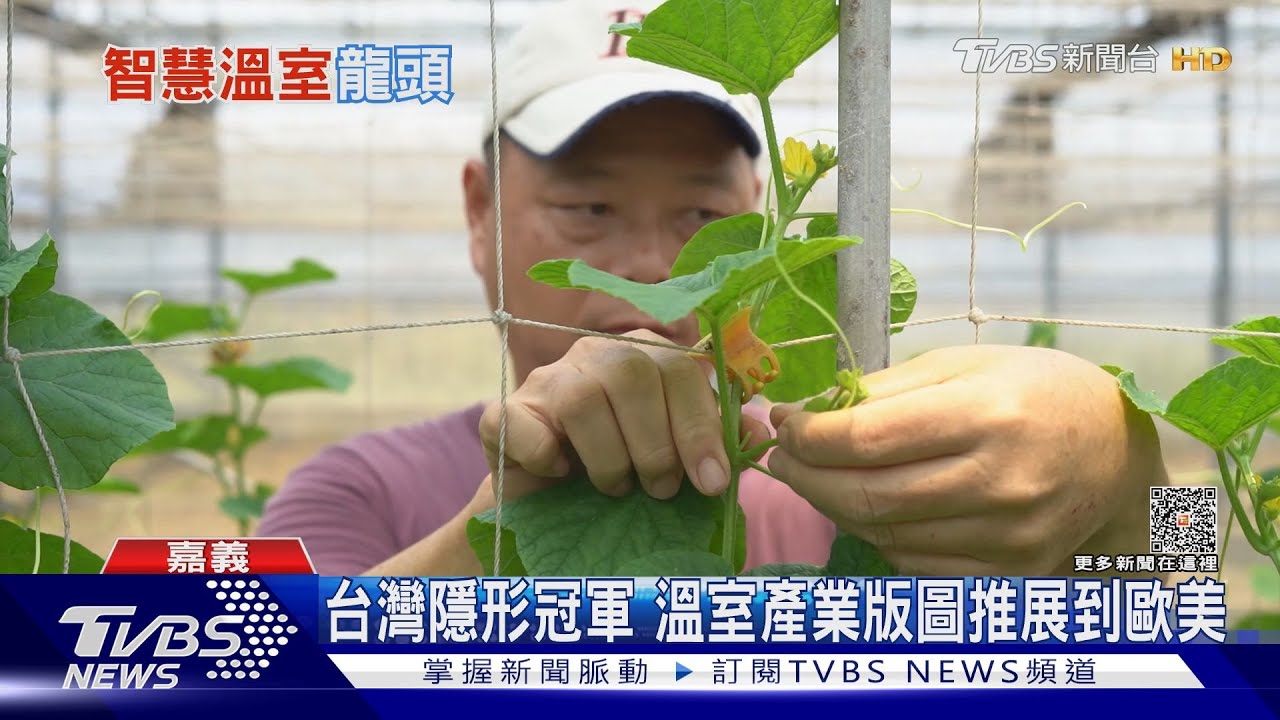 台灣成蘭花王國　重要推手來自於「溫室」產業