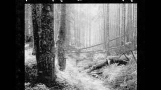 Behemoth-Grom (Cult Polish Bands)