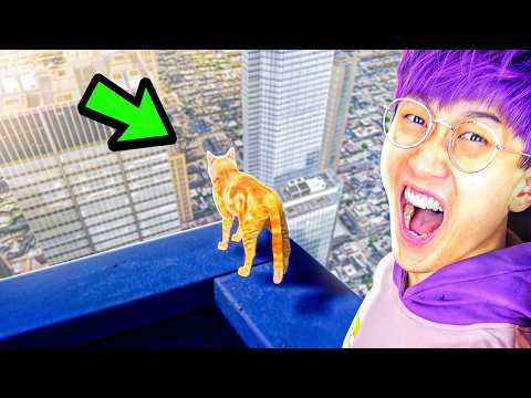 LANKYBOX GOT A CAT IN REAL LIFE!? (Only Way Is Down Full Gameplay!)