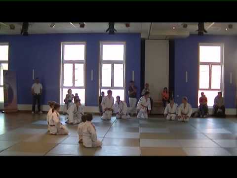 125 Jahre VFL Pinneberg  - Judo