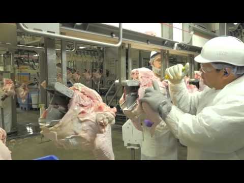 8-US Poultry & Egg Overview-Quality Control-2015
