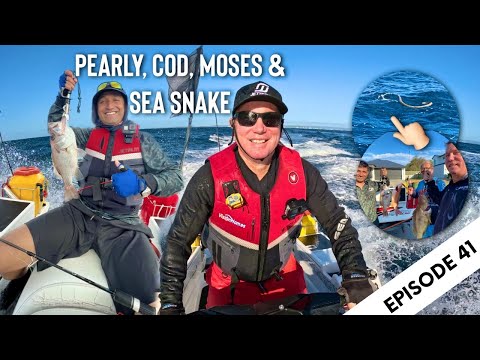 EP.41 - Pearly, Cod, Moses & Sea-Snake (AUSTRALIAN JETSKI FISHING)