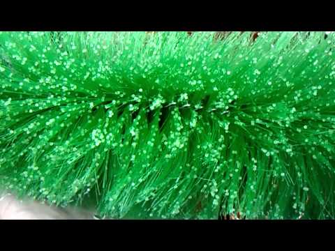Watch Video on YouTube