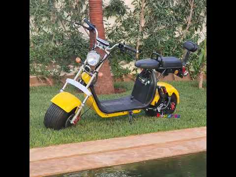 Best Seller ! COCO CITY EEC Homologué ALU 2 Places avec carte grise