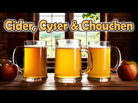 City Steading Fermenstation and City Steading Brews