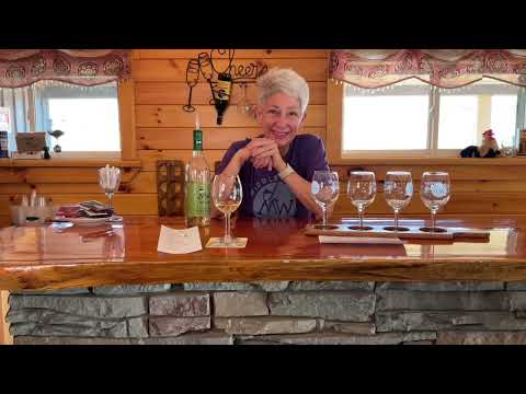 Tasting Room Etiquette @thewinelady2636