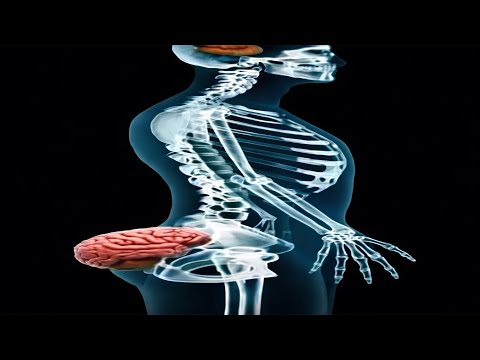 I Watched Memes Until I Lost Brain Cells