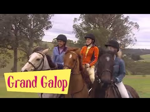 Grand Galop 207 - Kidnapping au Pin creux | HD | Épisode Complet