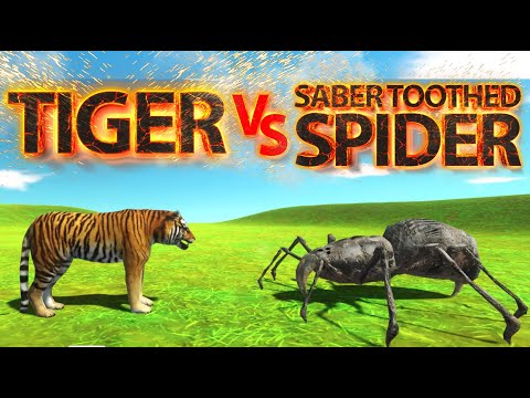 TIGER Vs SABER TOOTHED SPIDER ! ARBS