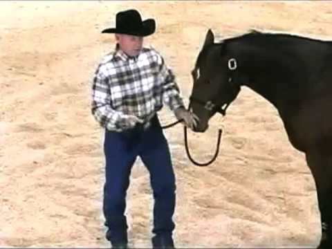 Horse Training with John Lyons - Pull Back Part 1