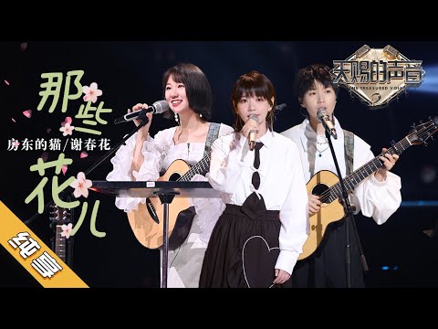 【纯享版】房东的猫/谢春花《那些花儿》《天赐的声音2》No Noice /浙江卫视官方HD/