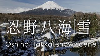 空撮 忍野八海 春の雪景色 | Oshino Hakkai snow scene in spring