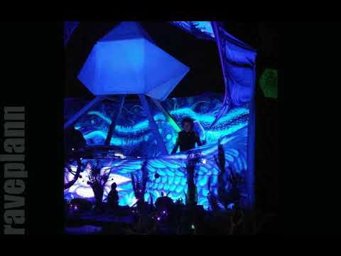 Dark dorest Kassandra at Star Camp Shasta 17