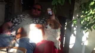 Dilba feat. Rappe the dog - Easy