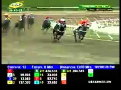 LA RINCONADA 12 CARRERA, DOMINGO 18 DE OCTUBRE DEL 2015