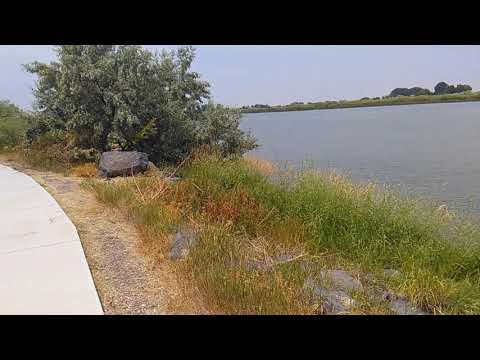 Hike Summary: Snake River Trail in Burley, Idaho