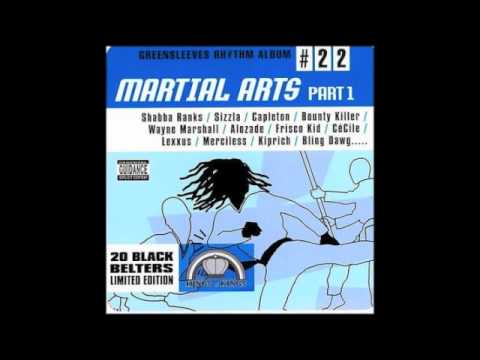 Martial Arts Riddim Mix (Sensi Sound Juggling)